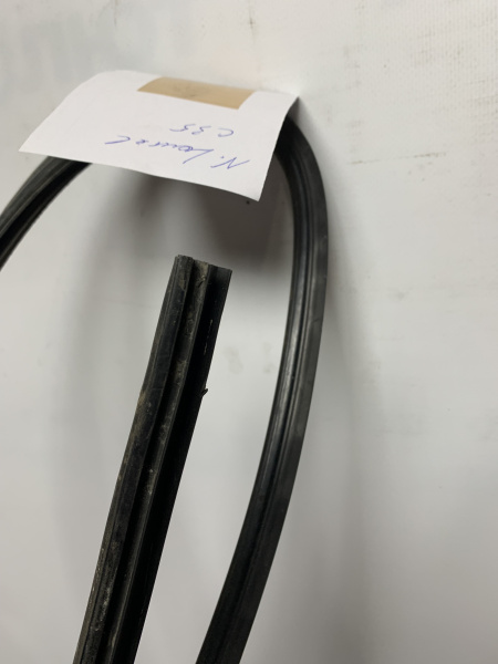 IMG_2016 1 IMG_2016 1