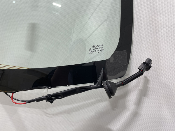 IMG_6310 1 IMG_6310 1